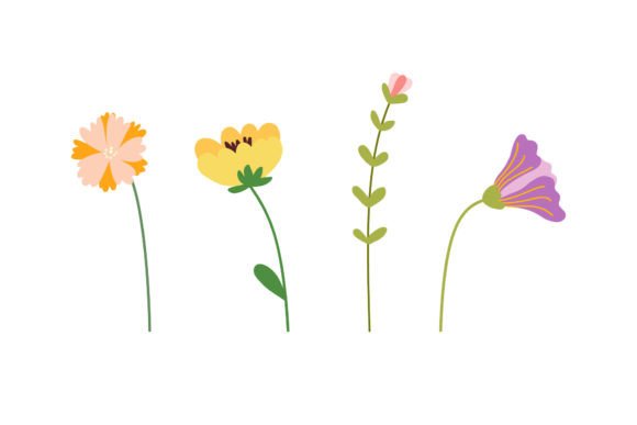 Download Set Flower Beautiful Collection - Beautiful collection Collection